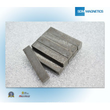 ISO/Ts 16949 Certificated Super N52 AlNiCo Magnet